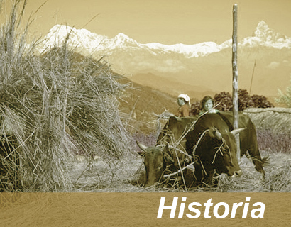 Historia zafarani basmati rice